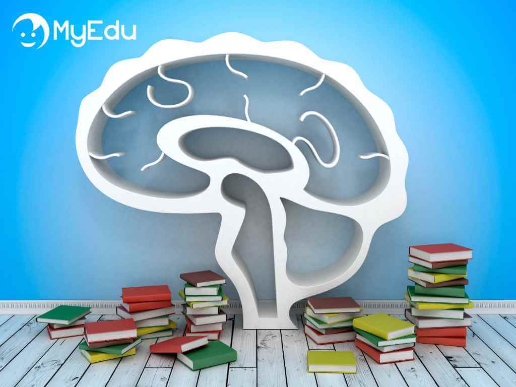 Neuroscienze e apprendimento: come il cervello impara nel mondo digitale